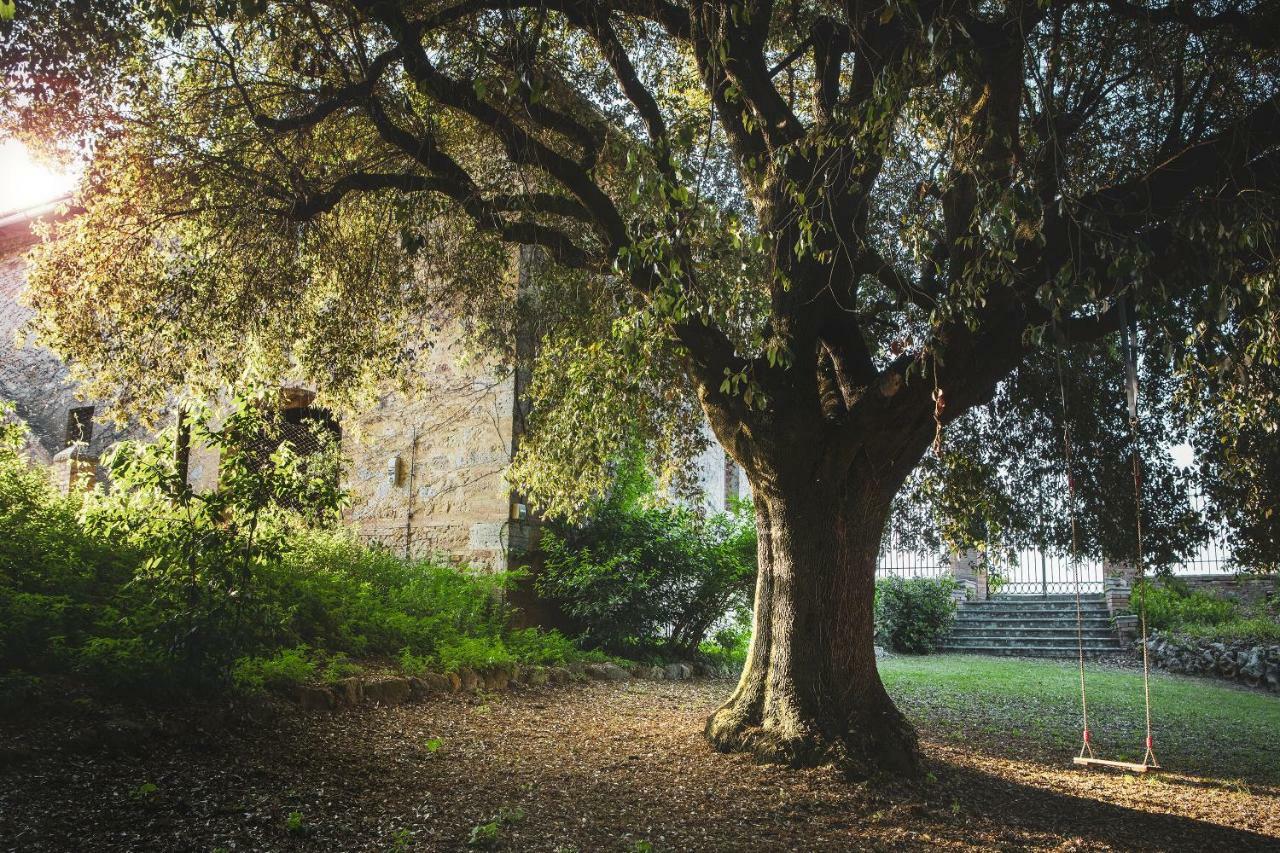 Cosona Villa Pienza Dış mekan fotoğraf